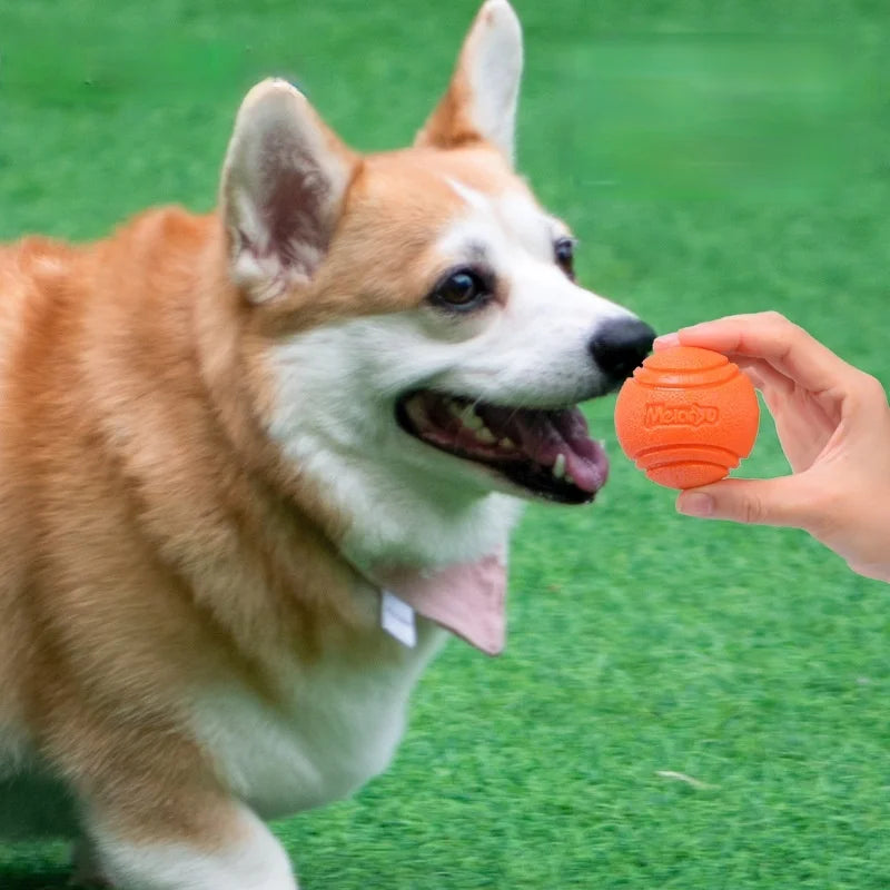 Bola Mastigável para Cães